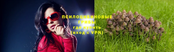 гидропоника Вязьма