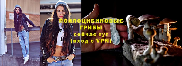 гидропоника Вязьма