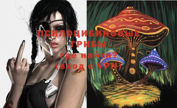 герыч Вяземский