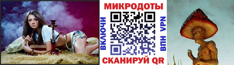 Купить закладки  Буй  Псилоцибиновые грибы Psilocybe 